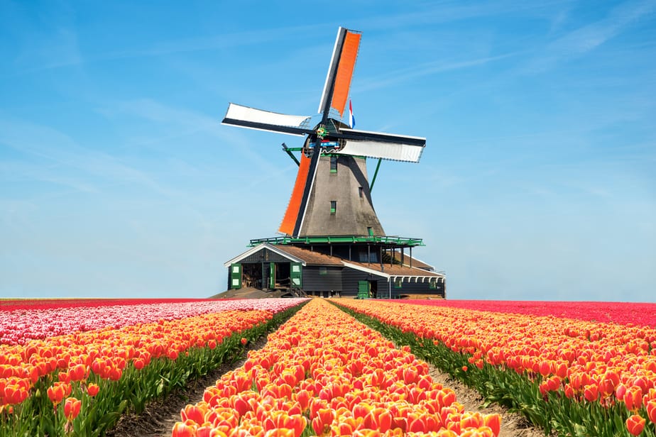 Die 7 Schönsten Tulpenfelder In Den Niederlanden