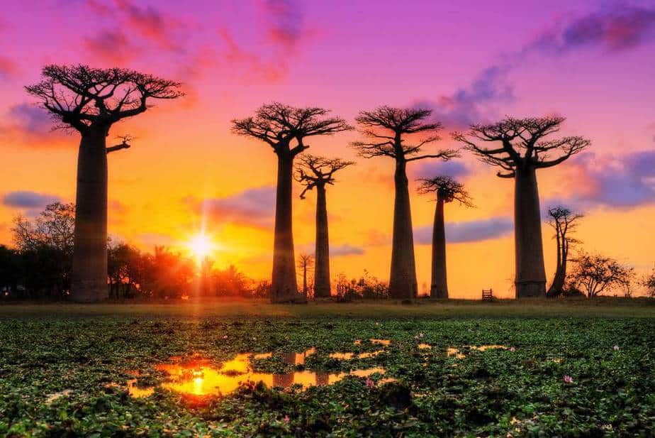 14 Top Sehenswürdigkeiten für Ihren Urlaub in Madagaskar