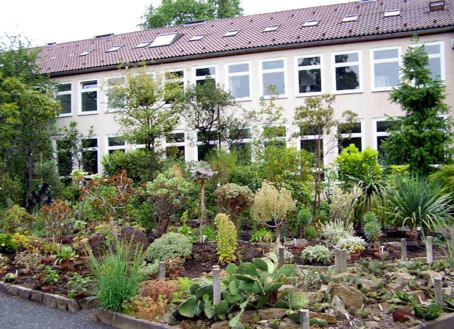 Göttingen Sehenswürdigkeiten: Die 14 Besten Attraktionen In Göttingen