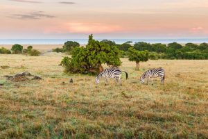 Kenia Sehenswürdigkeiten: Die Besten Attraktionen In Kenia