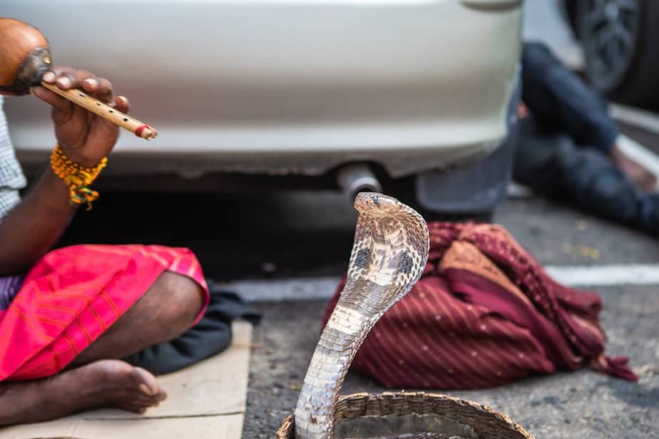 Colombo Sehenswürdigkeiten: 19 Sehenswürdigkeiten, Die Sie In Colombo Nicht Verpassen Sollten