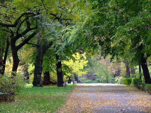 Die 6 schönsten Parks in Budapest