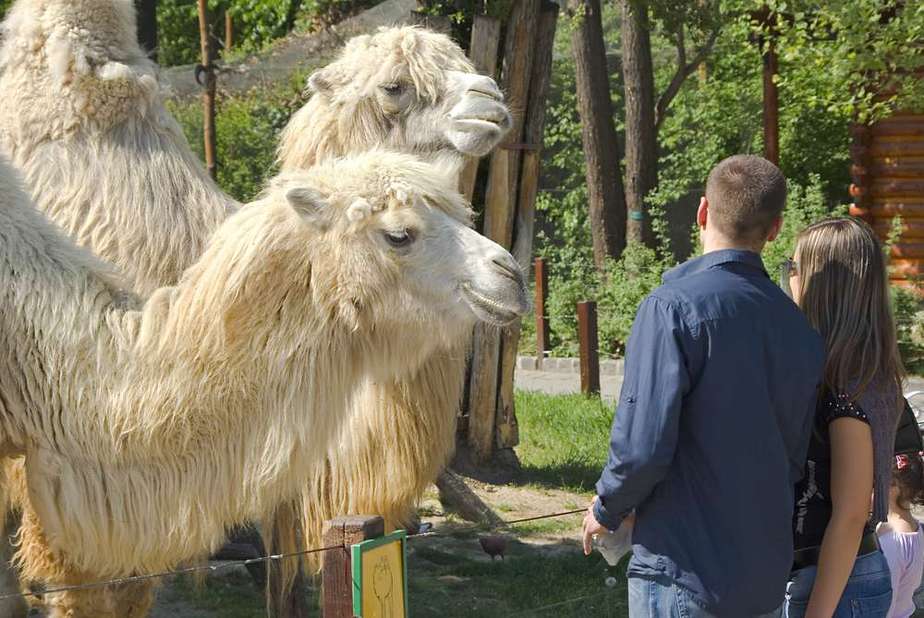 Die 6 schönsten Parks in Budapest