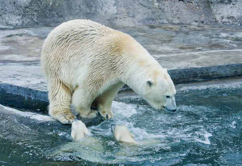 Moskauer Zoo Moskau Sehenswürdigkeiten: Die TOP 20 Sehenswürdigkeiten in Moskau
