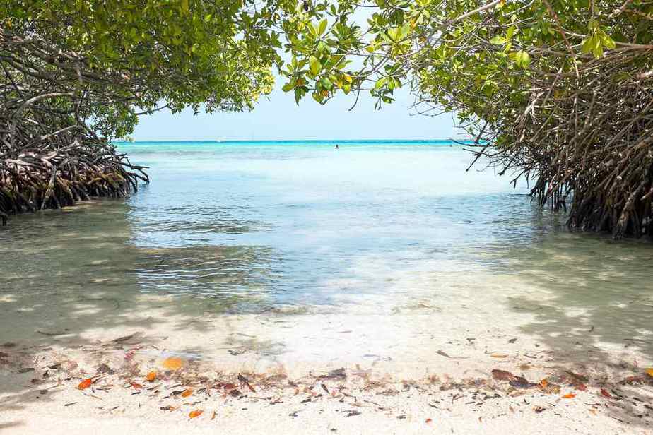 Mangel Halto Beach Caribbean Dreams: Das sind Arubas schönste Strände
