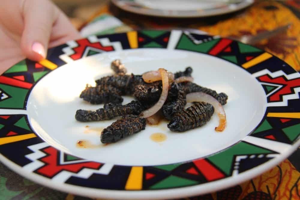 Mopane-Würmer Namibia Sehenswürdigkeiten: Die 19 besten Attraktionen