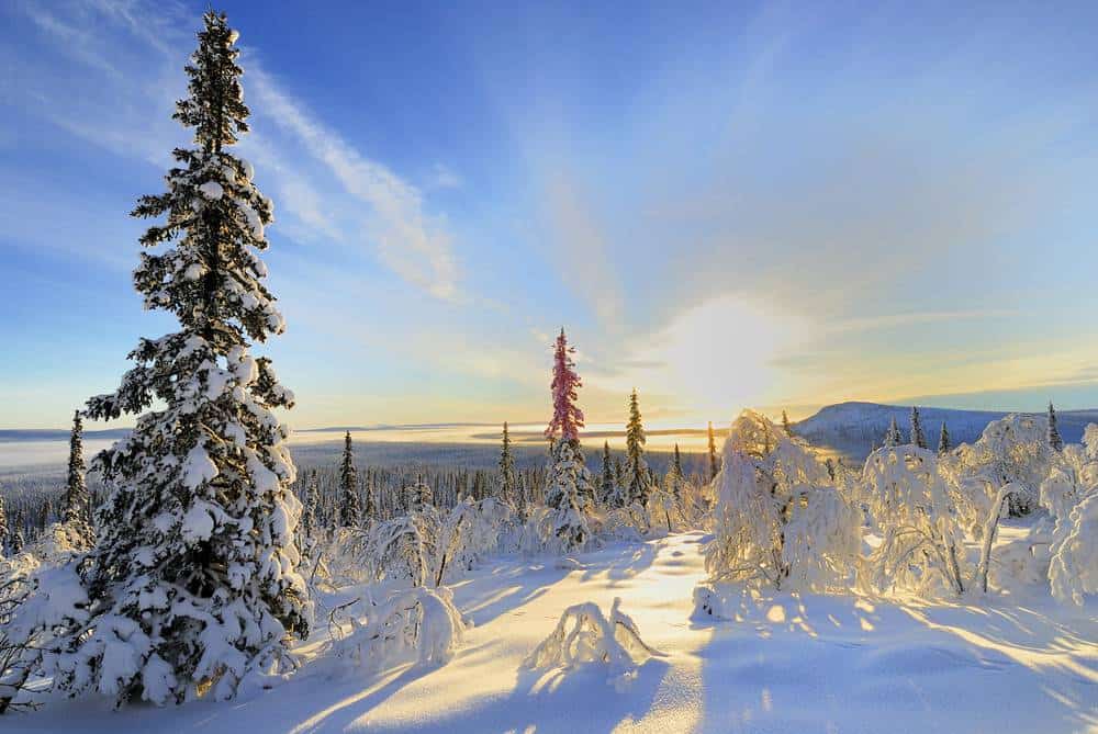 Lappland Schweden Sehenswürdigkeiten -  Die 20 besten Attraktionen