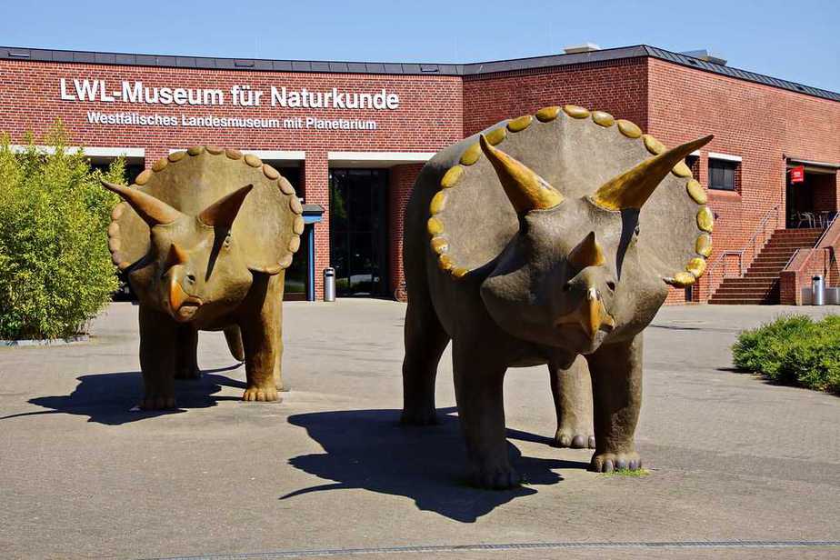 LWL-Museum für Naturkunde Münster Sehenswürdigkeiten – Top-20-Liste der Münster Sehenswürdigkeiten