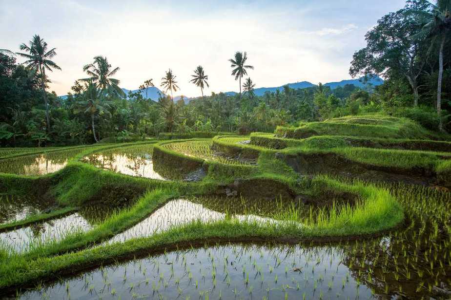 Jatiluwih-Reisfelder, Bali Indonesien Sehenswürdigkeiten: Die 15 besten Attraktionen