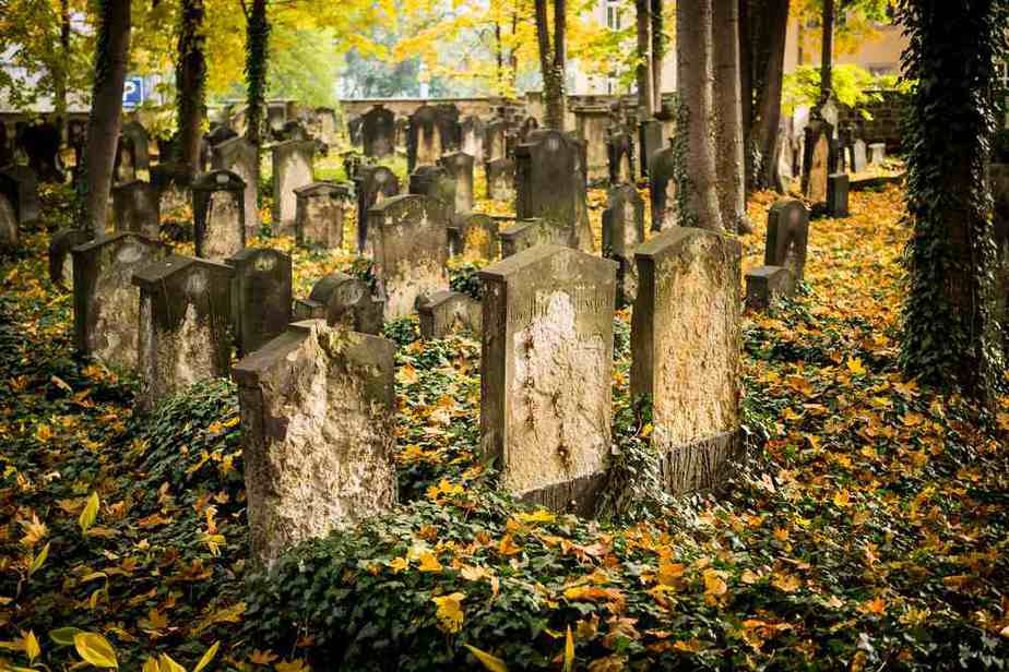 Alter jüdischer Friedhof Dresden Geheimtipps: Top Aktivitäten und die 21 besten Sehenswürdigkeiten in Dresden