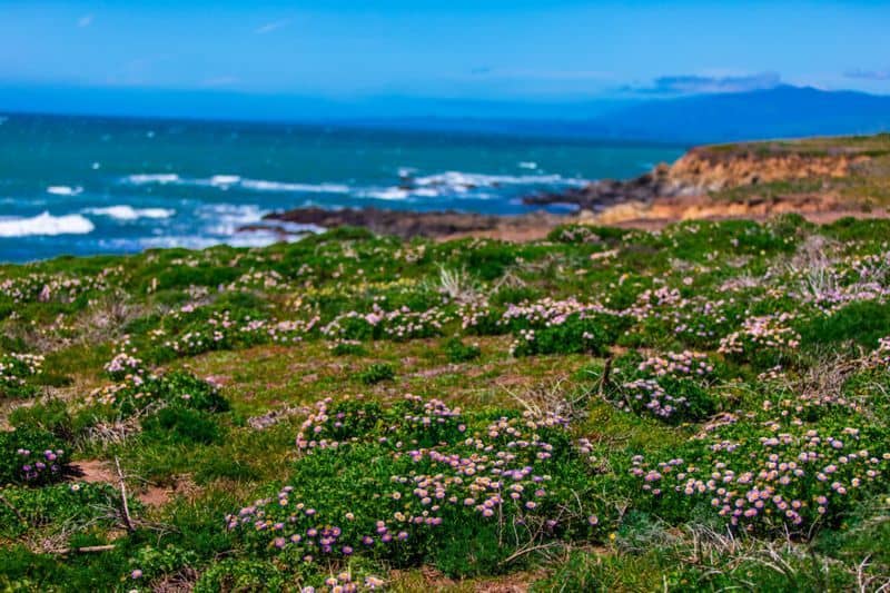 Cambria, Kalifornien Cambria, Kalifornien