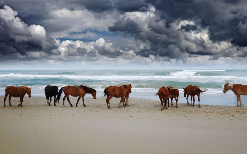 Chincoteague, Virginia Chincoteague, Virginia